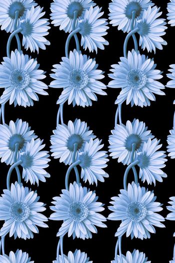 458360-时尚大牌潮流手绘油画花卉