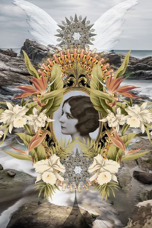 翅膀印花华亿平台图片