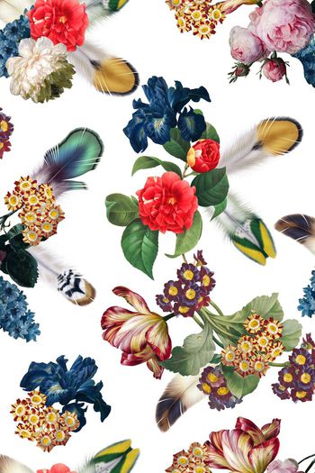 458479-满版手绘油画花卉羽毛