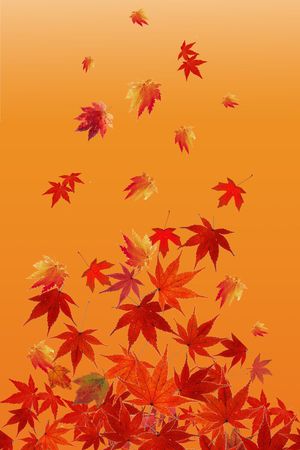 定位花印花华亿平台图片