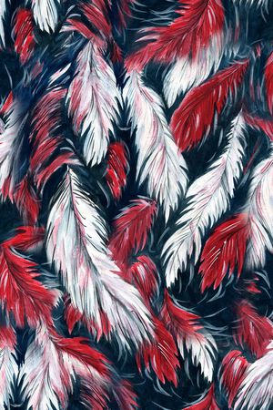 手绘羽毛印花华亿平台图片