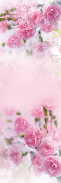 现代印花华亿平台图片