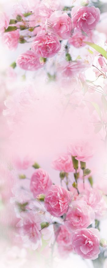 现代印花华亿平台图片