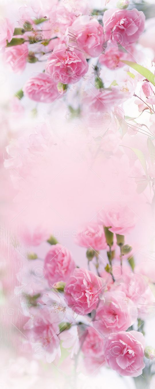 现代印花华亿平台图片