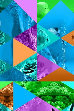 拼接印花华亿平台图片