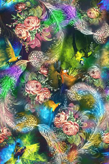 459429-精品绣花孔雀羽毛彩绘鹦鹉