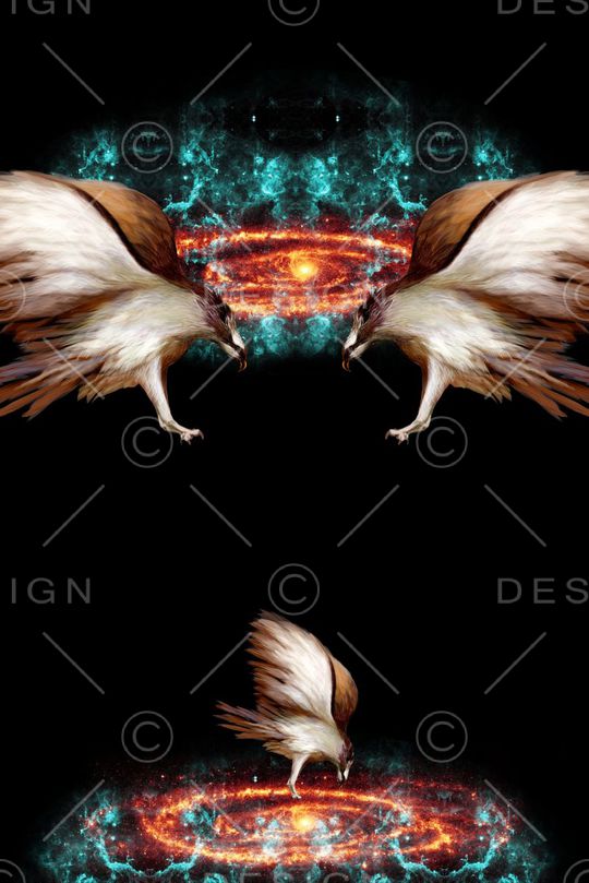 花鸟印花华亿平台图片