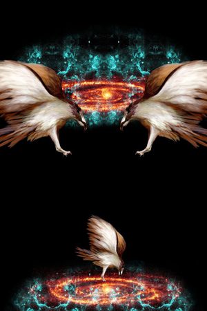 花鸟印花华亿平台图片