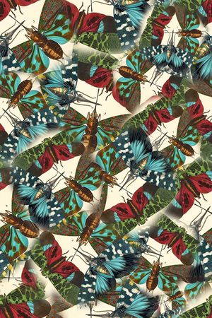 蜻蜓印花华亿平台图片