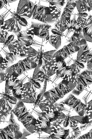 蜻蜓印花华亿平台图片