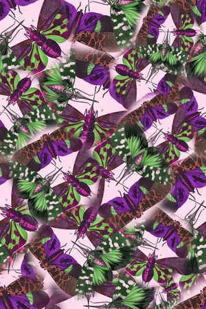 蜻蜓印花华亿平台图片