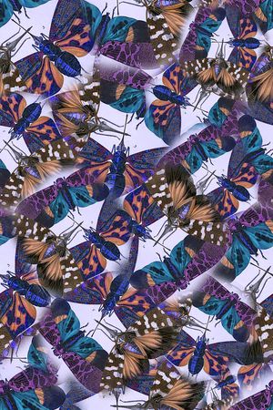 蜻蜓印花华亿平台图片