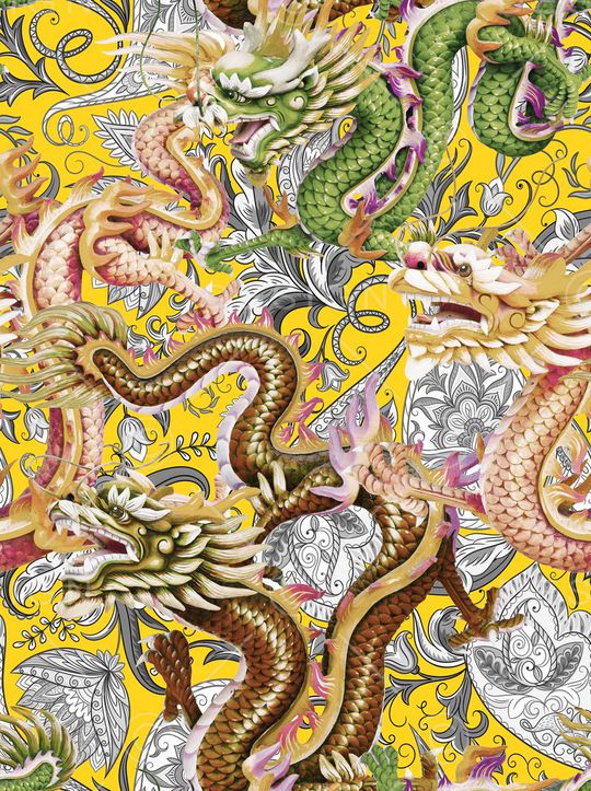 2016中国风印花华亿平台图片