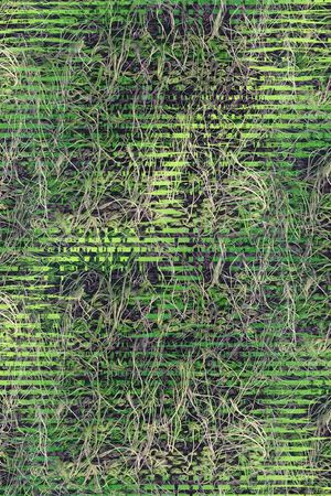 绿印花华亿平台图片