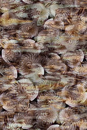 复古印花华亿平台图片