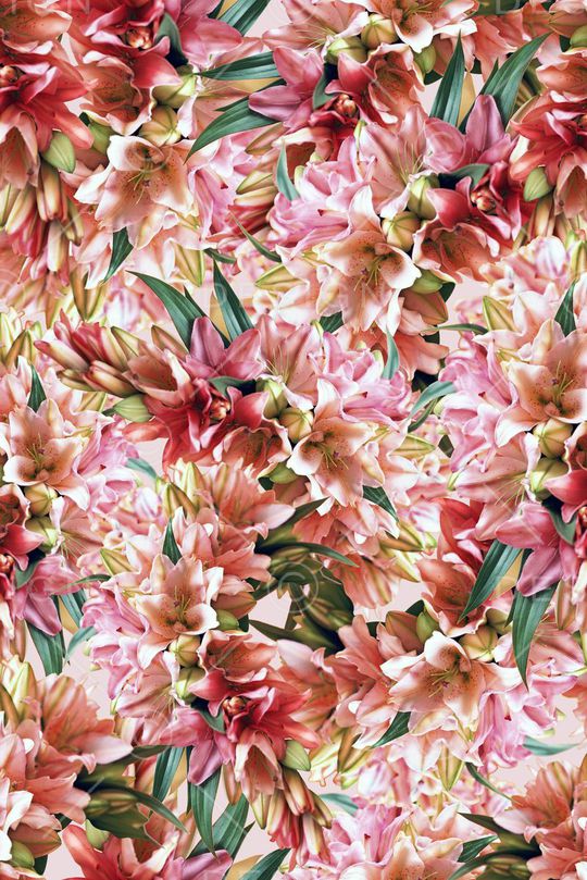 下载专区印花华亿平台图片