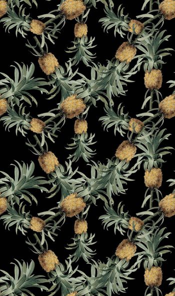 459923-潮流时尚热带雨林菠萝秋冬数码印花