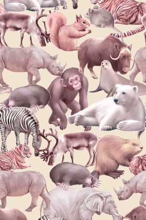 动物印花华亿平台图片