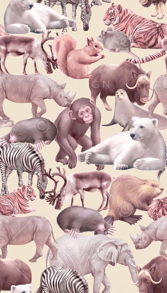 动物印花华亿平台图片