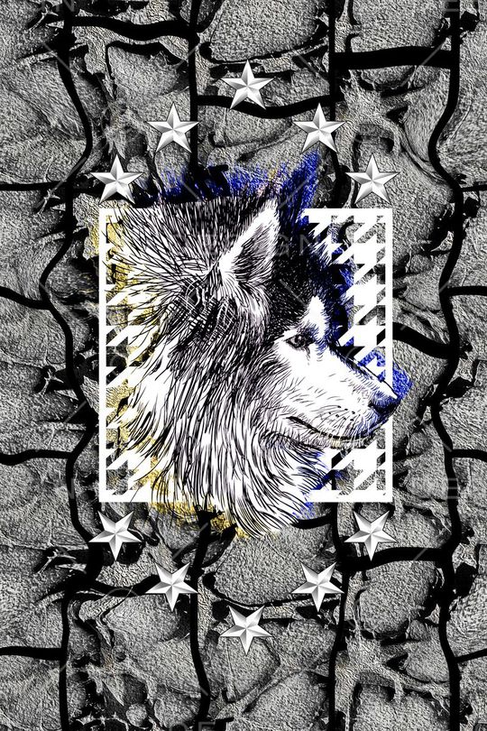 复古印花华亿平台图片