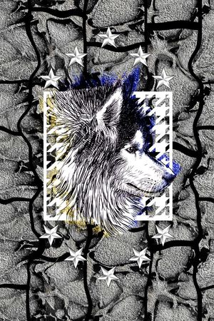 复古印花华亿平台图片