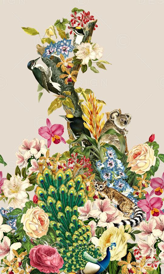 大牌印花华亿平台图片