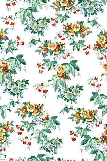 460209-绿叶红果子小花