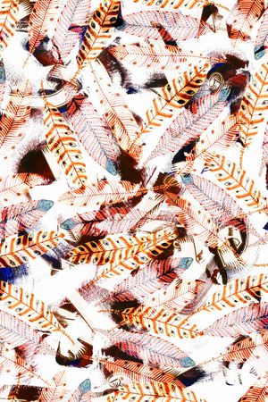 动物纹印花华亿平台图片