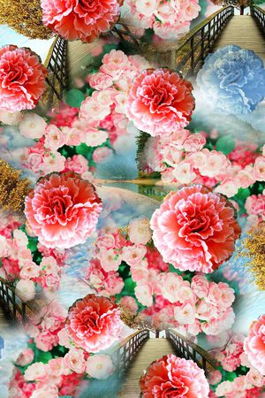 女装印花华亿平台图片