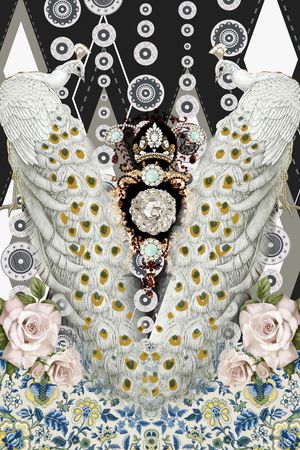 白孔雀印花华亿平台图片