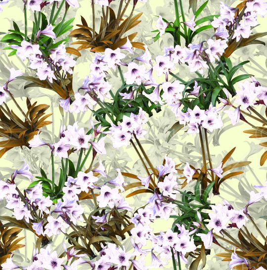 黄叶印花华亿平台图片