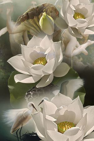 大花卉印花华亿平台图片