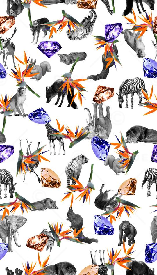 动物印花华亿平台图片