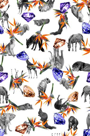 动物印花华亿平台图片