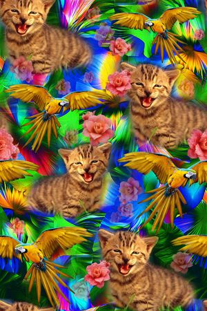 可爱猫咪印花华亿平台图片