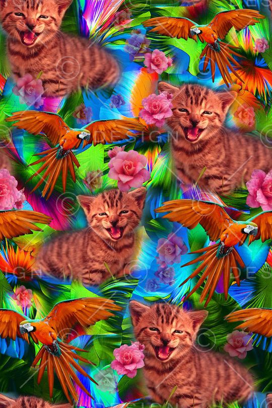 可爱猫咪印花华亿平台图片