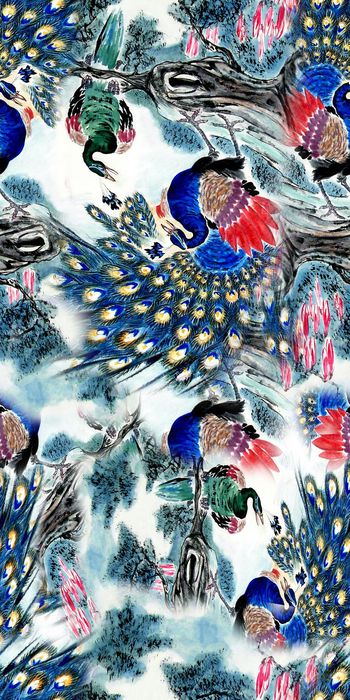 461135-凤求凰 动物凤凰涅槃 孔雀开屏 民