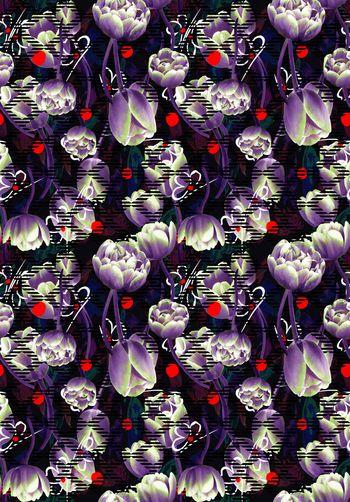 461207-迷幻郁金香