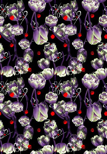 461208-迷幻郁金香