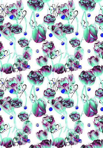 461209-迷幻郁金香