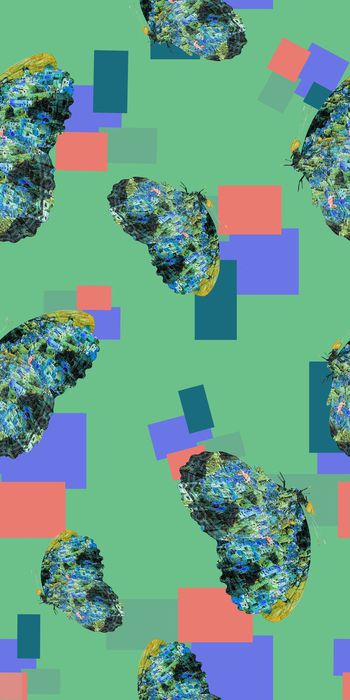 蝴蝶印花华亿平台图片