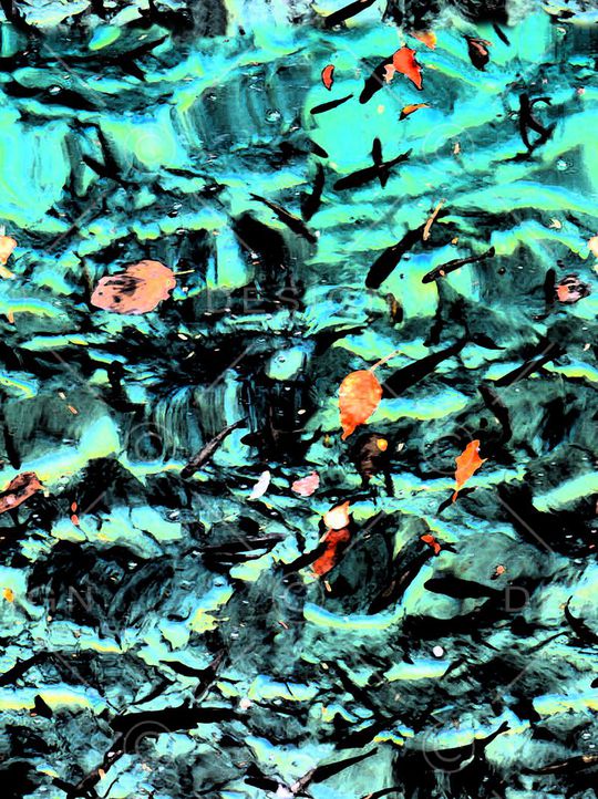 风景印花华亿平台图片