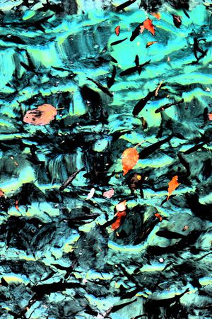 风景印花华亿平台图片