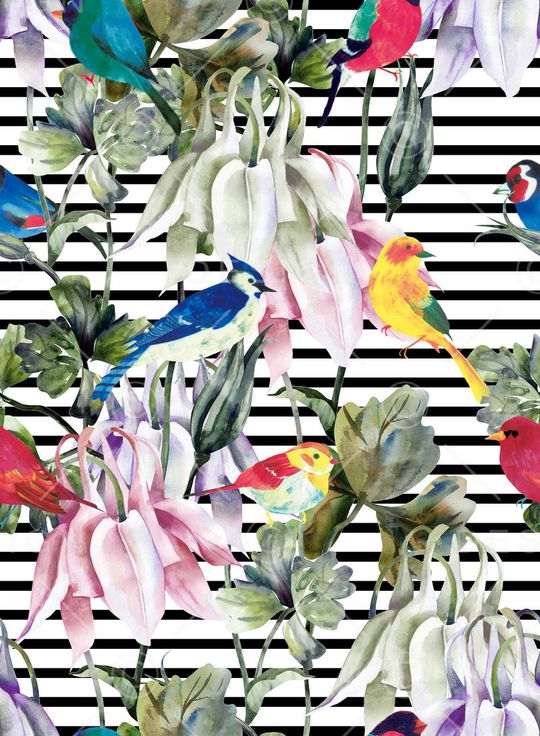 百鸟印花华亿平台图片