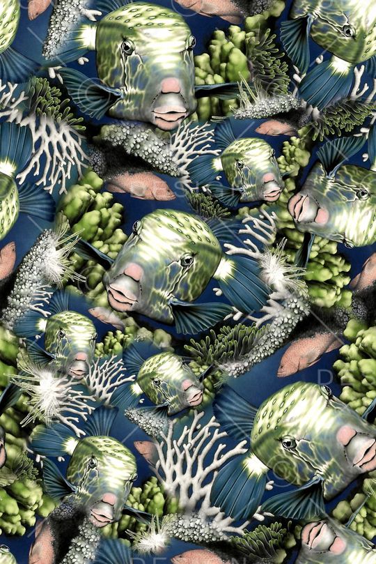 海底印花华亿平台图片