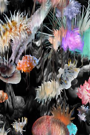 海洋动植物印花华亿平台图片