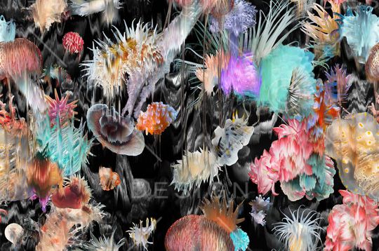 海洋动植物印花华亿平台图片