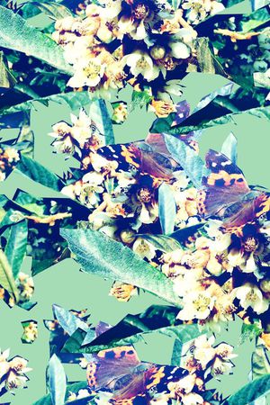 潮流印花华亿平台图片