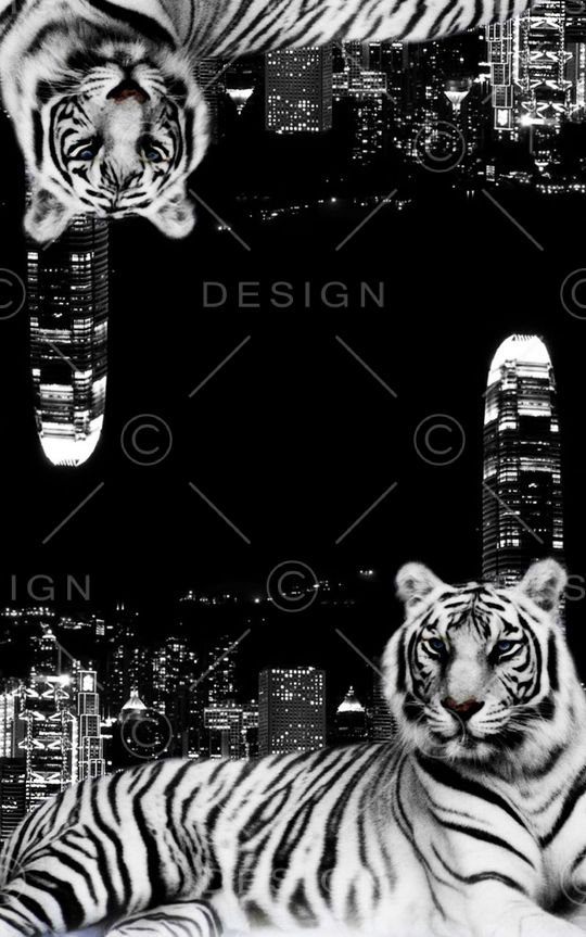 时尚印花华亿平台图片