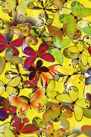 蝴蝶印花华亿平台图片